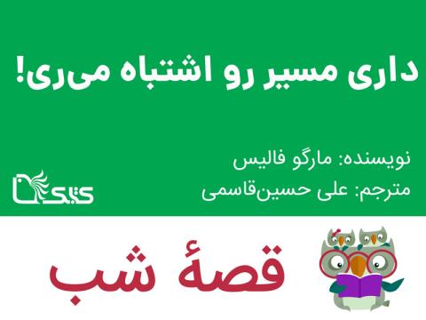 داری مسیر رو اشتباه می‌ ری!، قصه صوتی