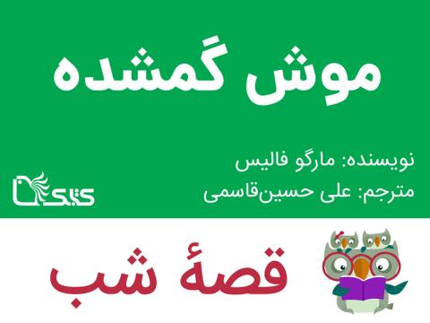 موش گمشده