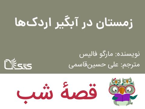 زمستان در آبگیر اردک‌ها