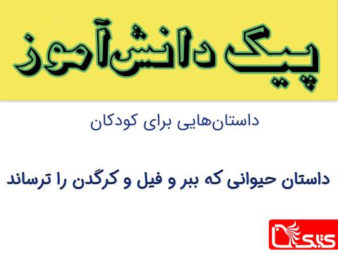 حیوانی که ببر و فیل و کرگدن را ترساند