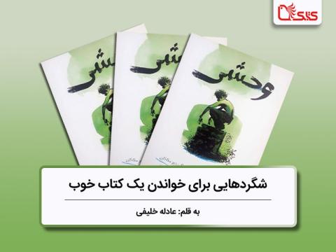 شگردهایی برای خواندن یک کتاب خوب، بررسی کتاب وحشی