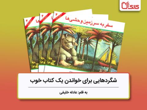شگردهایی برای خواندن یک کتاب خوب، بررسی کتاب سفر به سرزمین وحشی‌ها