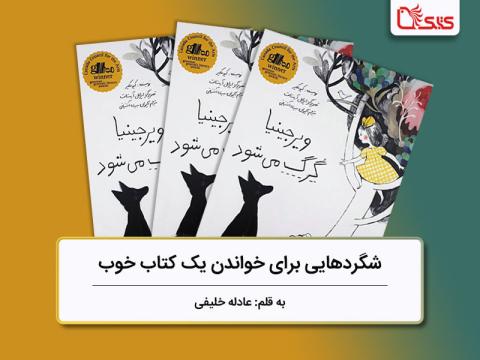 شگردهایی برای خواندن یک کتاب خوب، بررسی کتاب «ویرجینیا گرگ می‌شود»