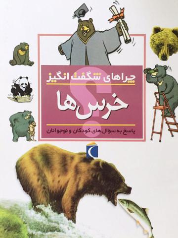 چراهای شگفت‌انگیز: خرس ها