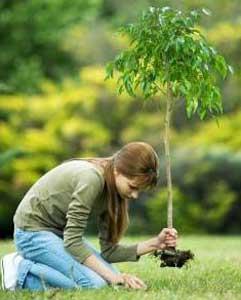 کارگاه محیط زیست برای نوجوانان ۱۳ سال به بالا