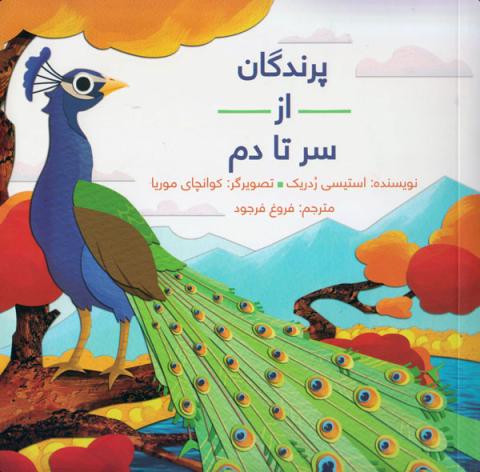 پرندگان از سر تا دم