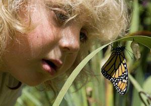  پژوهش با کودکان پیش دبستانی 