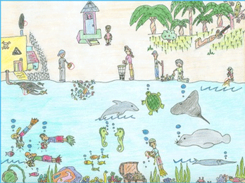 ۲۰۱۱، سال جهانی جنگل ها!