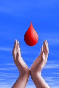 مسابقه اینترنتی هدیه ای برای زندگی