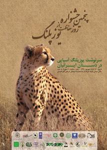  جشنواره "روز حفاظت از یوزپلنگ" برگزار می شود 