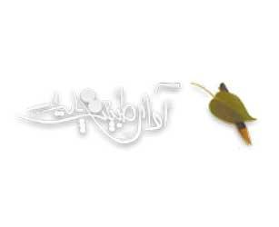 برنامه بازدید آموزشی از موزه ایران باستان برگزار می شود 