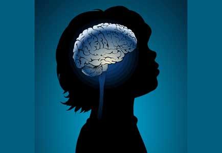 رابطه مغز و یادگیری چیست؟