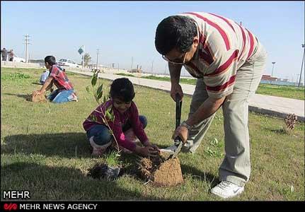کودکان درخت کاشتند و کتاب هدیه گرفتند