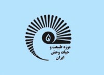 جشنواره کودک، طبیعت، تابستان