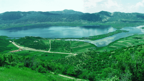 مسابقه اینترنتی "تالاب زریوار" برگزار می شود