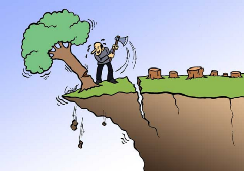 درباره فقر و محیط زیست در ایران