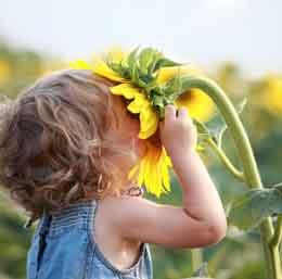 سمینار تخصصی آموزش های زیست محیطی به کودکان   