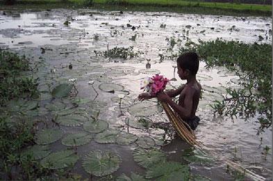  عکس ها داستان جامعه را بازگو می کنند!