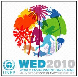 کودکان برای بچه گوریل در خطر انقراض نام برگزیدند!