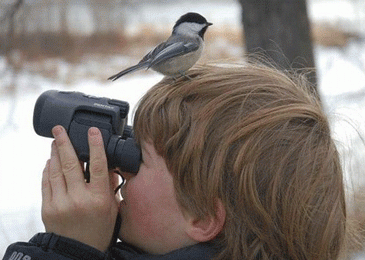 کودکان با طبیعت بیگانه شده اند!