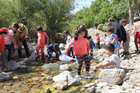 مدرسه طبیعت «داربانان آتی» میان طبیعتی در نزدیکی تهران