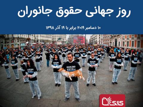 ۱۰ دسامبر برابر با ۱۹ آذر، روز جهانی حقوق جانوران