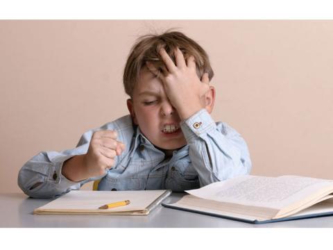 بیانیه گروه داوری لاک‌پشت پرنده در باره مشق شب