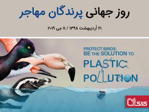 روز جهانی پرندگان مهاجر ۲۰۱۹: زباله‌های پلاستیکی بلای جان پرندگان است!