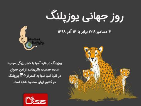 ۱۳ آذر، روز جهانی یوزپلنگ