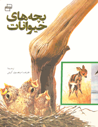 بچه‌های حیوانات