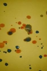 نقاشی با قطره های رنگی!