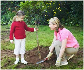 همراه با کودک چیزی بکارید