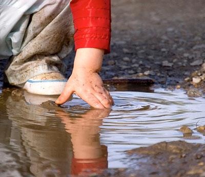 آنچه از توفان به جا می ماند 