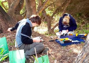 راه های به دست آوردن اطلاعات در یک پژوهش دانش آموزی