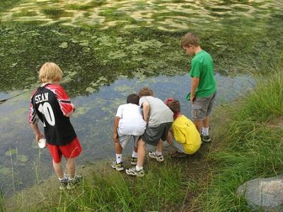 ۱۰ فعالیت محیط زیستی برای خارج از خانه 