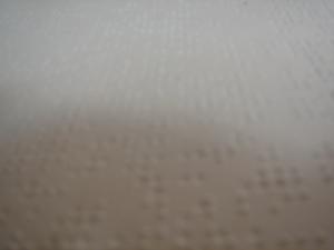  آن ها با دست ها و گوش هایشان می خوانند