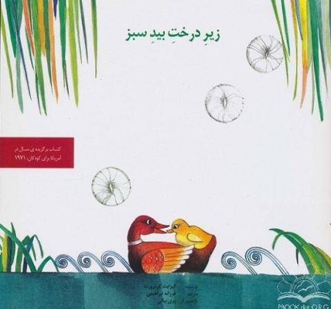 زیر درخت بید سبز