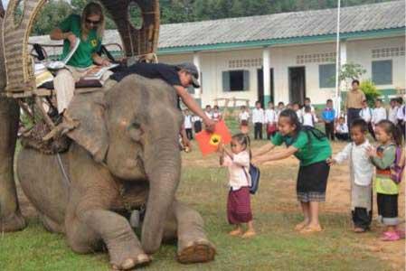 کتابخانه ای بر روی فیل