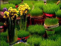 نوروز و سفره ی نوروزی