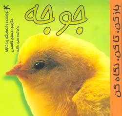 جوجه