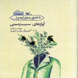 آوازهای سیب زمینی