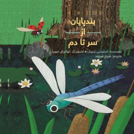 بندپایان از سر تا دم