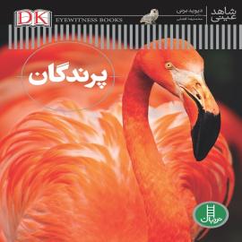 پرندگان (مجموعه کتاب شاهد عینی)