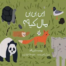 این پی‌پی مال کیه؟