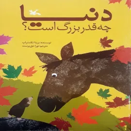 دنیا چه قدر بزرگ است؟