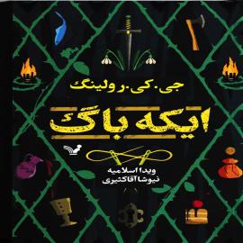 ایکه باگ 