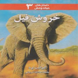 خروش فیل