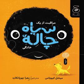 مراقبت از یک سیاه‌ چاله ی خانگی