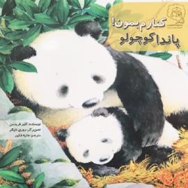 کنارم بمان, پاندا کوچولو