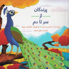 پرندگان از سر تا دم
